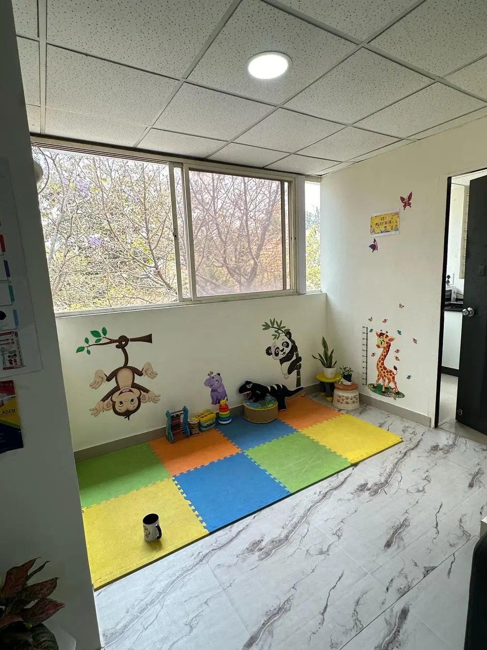 Play Area